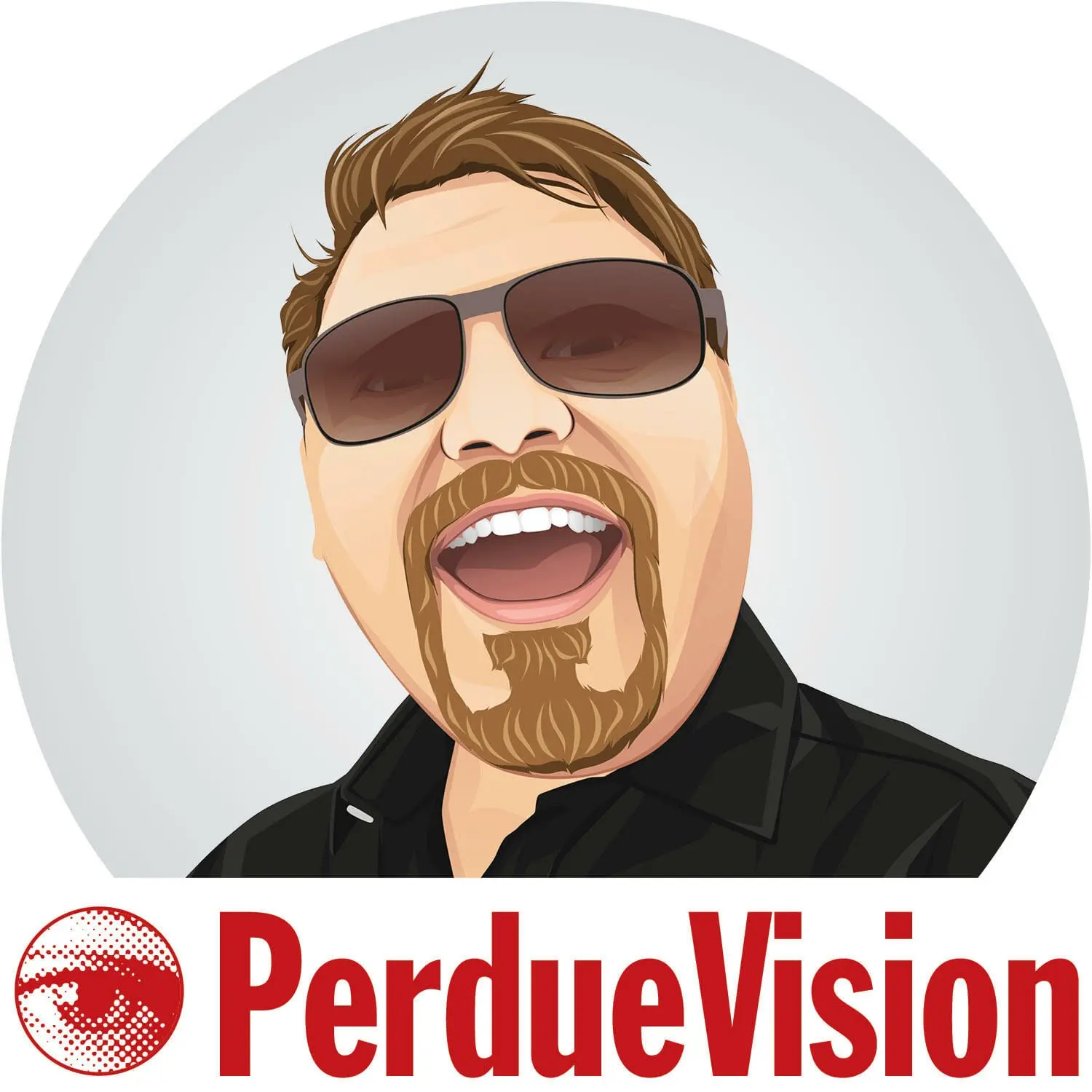 Perdue Vision LLC